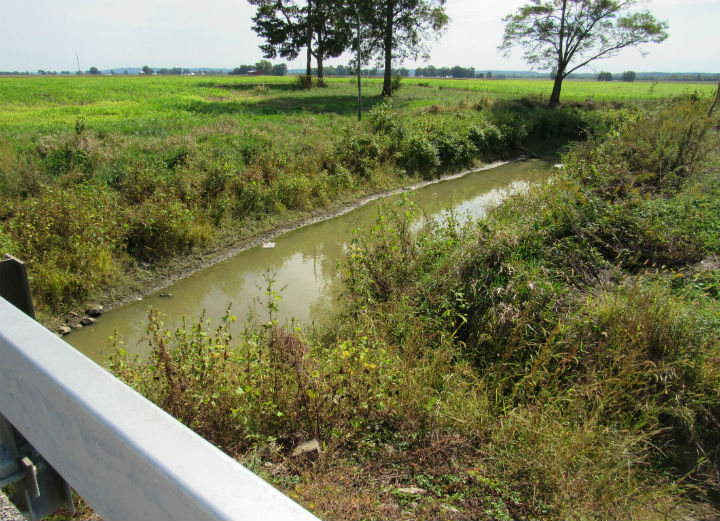 Roadside Ditch